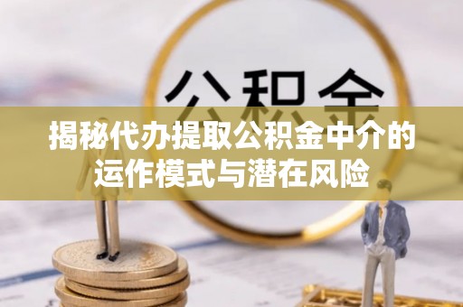 南谯揭秘代办提取公积金中介的运作模式与潜在风险