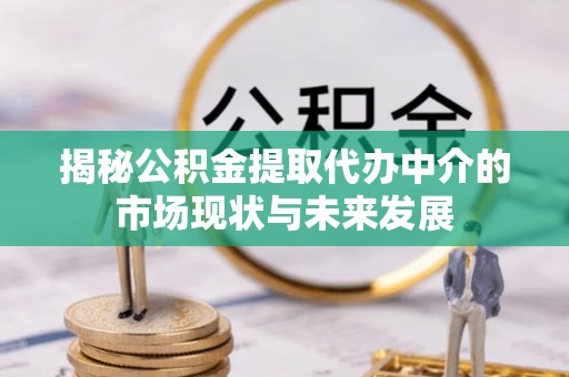 南谯揭秘公积金提取代办中介的市场现状与未来发展